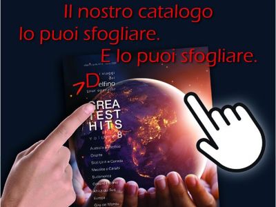 I Viaggi del Delfino 