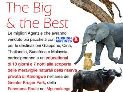 Turkish Airlines - I Viaggi del Delfino 