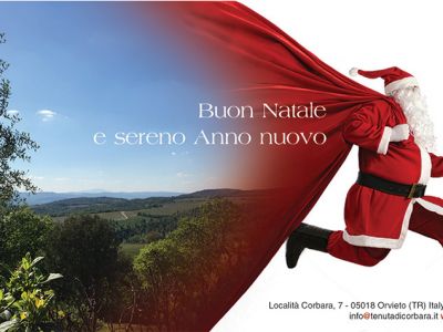 Tenuta di Corbara (biglietto di auguri, mailing, post)